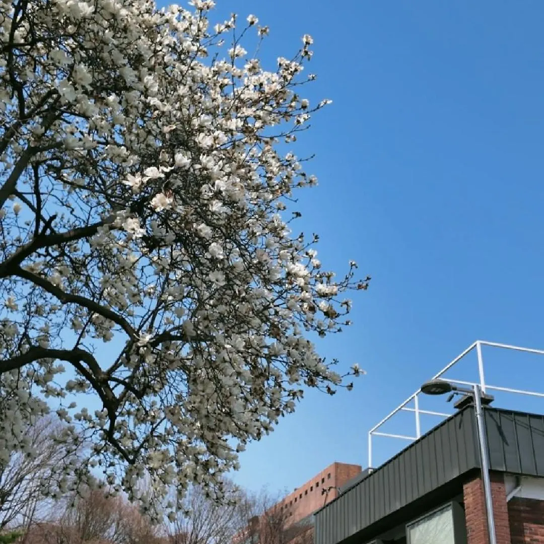 Seoul Namsan Stay Korea Południowa